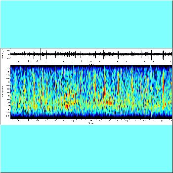 Ageneiosus atronasus_spectrogram.png